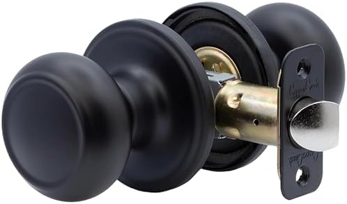 Elegant Black Door Knobs Set