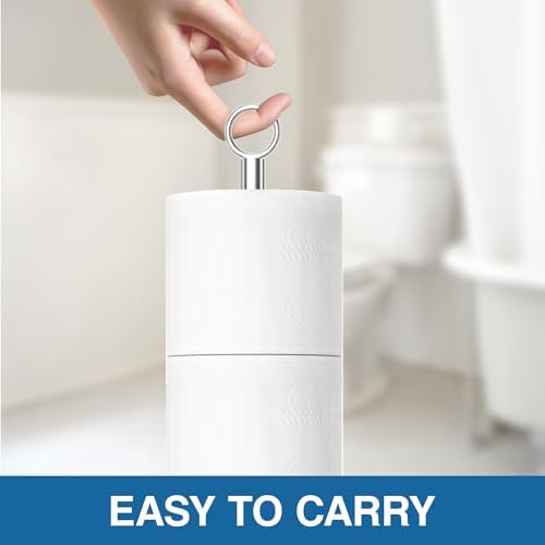 Stylish Stainless Steel Toilet Paper Holder Stand with Reserve Function for Bathroom Storage