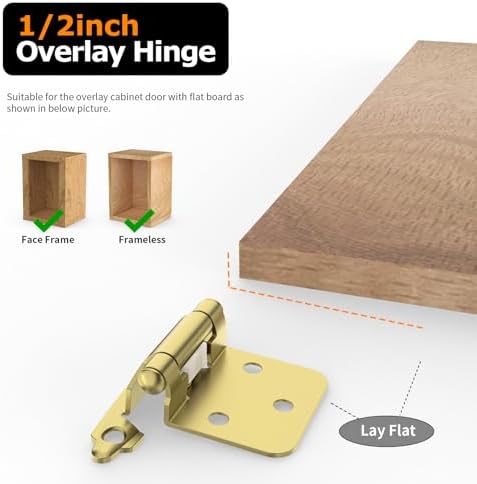 Premium 12 Overlay Hinges 50-Pack Self-Closing Flush Mount Hinges with Door Bumper Brass Gold