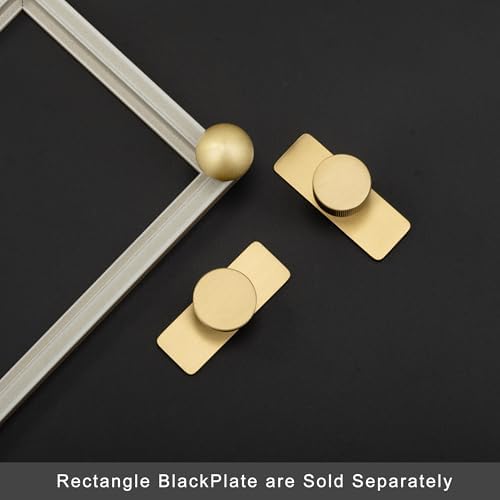 QOGRISUN 5-Pack Solid Brass Cabinet Pulls with Back Plates Brushed Brass Finish