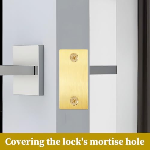 Sturdy Door Filler Plate Set with Stainless Steel and 3D Wood Dowels Easy to Install for Doors Locks and Handles