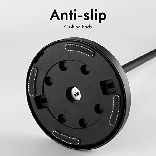 Rust-Proof Stainless Steel Toilet Paper Holder