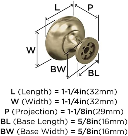 Amerock Golden Champagne Knob - Durable Kitchen Bathroom Cabinet knob with Mounting Hardware