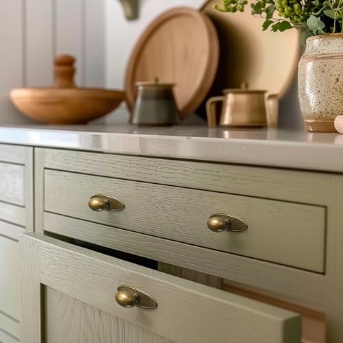Oval Cabinet Knobs with Backplate - 2 Pack antique brass