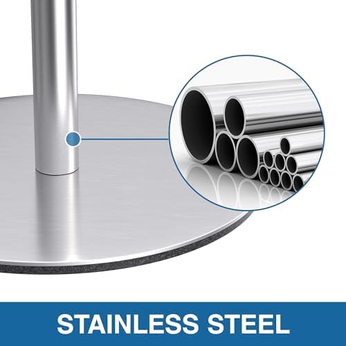 Stylish Stainless Steel Toilet Paper Holder Stand with Reserve Function for Bathroom Storage
